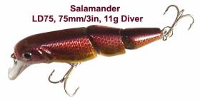 LD 75. Salamander wobbler